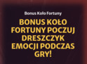 Bonus koło fortuny poczuj dreszczyk emocji podczas gry