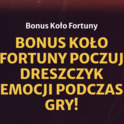 Bonus koło fortuny poczuj dreszczyk emocji podczas gry