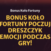 Bonus koło fortuny poczuj dreszczyk emocji podczas gry