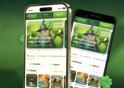Ekskluzywne bonusy z aplikacją Verde Casino