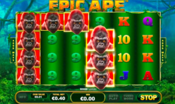 Recenzja Epic Ape